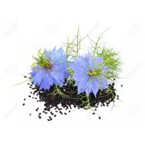 Melno ķimeņu eļļa BIO, auksti spiesta